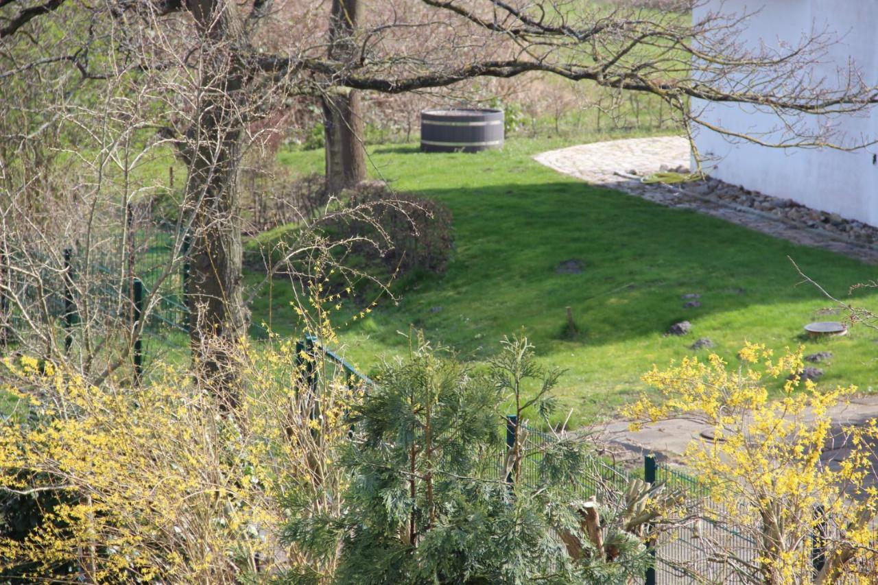 Appartementhaus Moewe Kirchdorf  Buitenkant foto